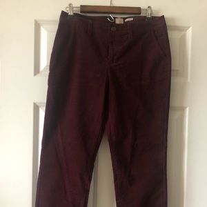 NWOT corduroy pants